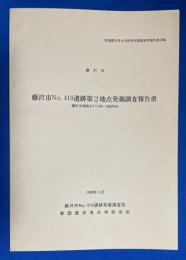 藤沢市no.419遺跡発掘調査報告書