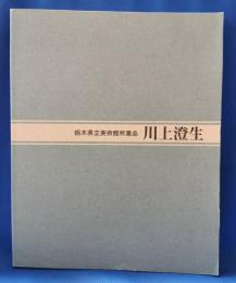 川上澄生 : 版画・絵画 栃木県立美術館所蔵品