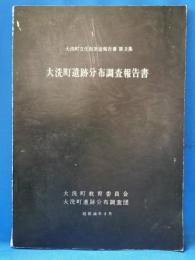 大洗町遺跡分布調査報告書