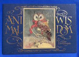 英文書 『Animal Wisdom』
