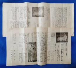 欧州産純血種チンチーラ兔の繁殖推奨ちらし　2枚