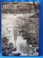 日本写真年報 1967