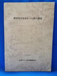 横須賀市長坂やぐら群の調査