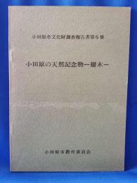 小田原の天然記念物 樹木 小田原市文化財調査報告書第6集