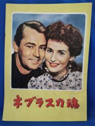 映画パンフレット　ネブラスカ魂
