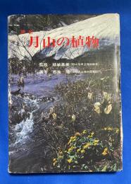 原色月山の植物