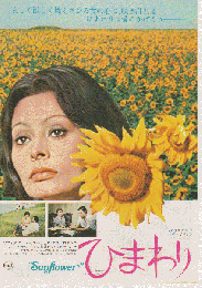 映画チラシ　ひまわり