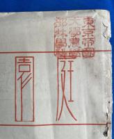 庭園と風景　第十七巻第一号　昭和10年1月号　（通巻第百七十号）　　<国際造園>　