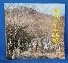 丹沢の自然観察