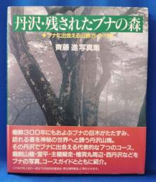 丹沢・残されたブナの森 : 齊藤進写真集