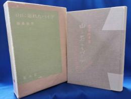 山に忘れたパイプ