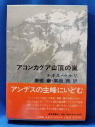 アコンカグア山頂の嵐