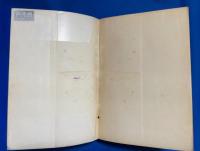 ビユーテイ・スポツト : 描きほくろ