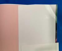 歌舞伎町のこころちゃん