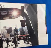 歌舞伎町のこころちゃん