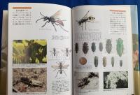 完訳　ファーブル昆虫記 全10巻・全20冊揃い