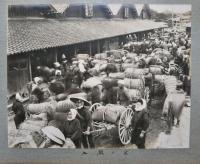 庄内倉庫写真帳　（山居倉庫）