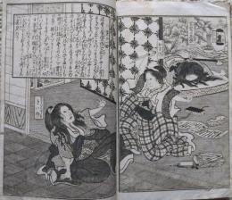 絵本鏡山実録錦　上下