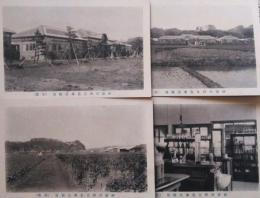 絵葉書　神奈川県立農事試験場　　