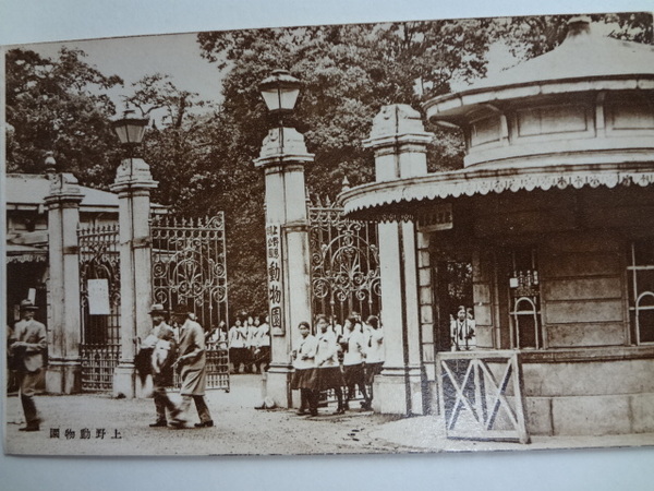 絵葉書 上野動物園 戦前 / 古本、中古本、古書籍の通販は「日本の
