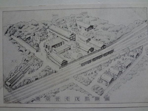 写真カード 絵葉書大 東京養老院鳥瞰図 祥書房 古本 中古本 古書籍の通販は 日本の古本屋 日本の古本屋