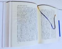 哲学と自然の鏡