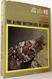 高山蝶〈生態写真〉