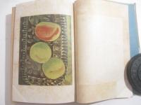 お祭りの太鼓　毛筆献呈署名