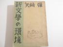 新文学の環境ー小林秀雄を嚙み砕く他ー