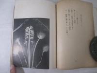 詩集　夜虹　家蔵版１０番本１２０部限定