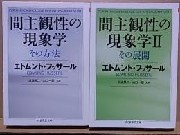 間主観性の現象学 1.その方法  2.その展開