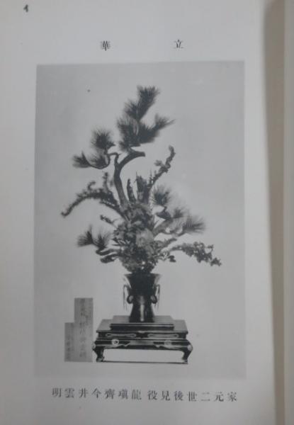 池坊龍生派立生華写真集(吉村華芸 編) / 公文堂書店 / 古本、中古本  