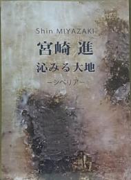 宮崎進  沁みる大地  シベリア