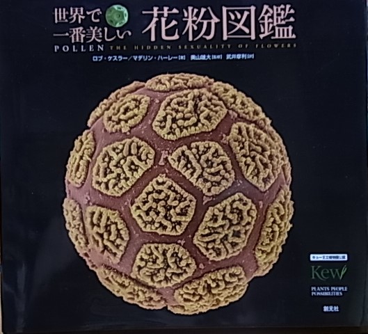 世界で一番美しい花粉図鑑 | マデリン・ハーレー, ロブ