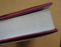 Holistic Astrology: The Analysis of Inner and Outer Environments