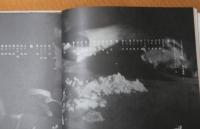 手の知恵 : 秘められた可能性
