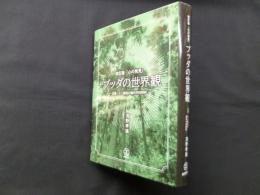改訂版『心の発見』　ブッダの世界観