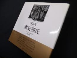 写真集　窯変源氏