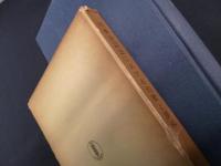 刑事訴訟法における均衡と調和