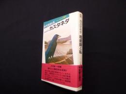 呪術師と私―ドン・ファンの教え
