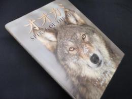 オオカミ―SPIRIT OF THE WILD