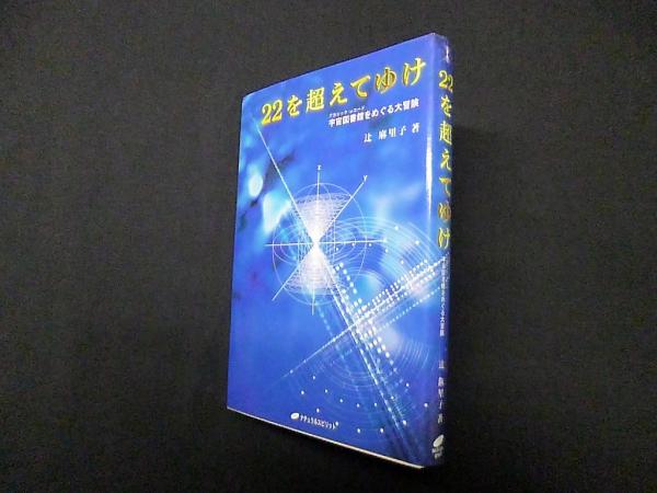 を超えてゆけ―宇宙図書館アカシック・レコードをめぐる大冒険辻