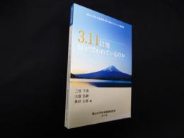 3.11以降 何が問われているのか―南山大学社会倫理研究所 研究プロジェクト講演集