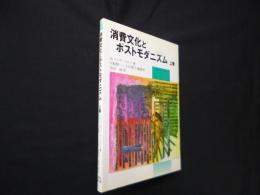消費文化とポストモダニズム〈上巻〉
