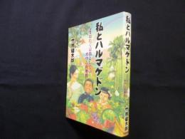 私とハルマゲドン―おたく宗教としてのオウム真理教