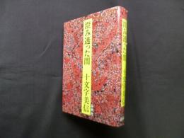 澄み透った闇
