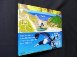世界遺産・小笠原