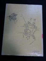 日本戦国史国語辞典