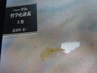 ヘーゲル　哲学史講義　上中下巻