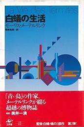 白蟻の生活